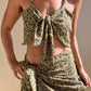 Top Denis Cheetah