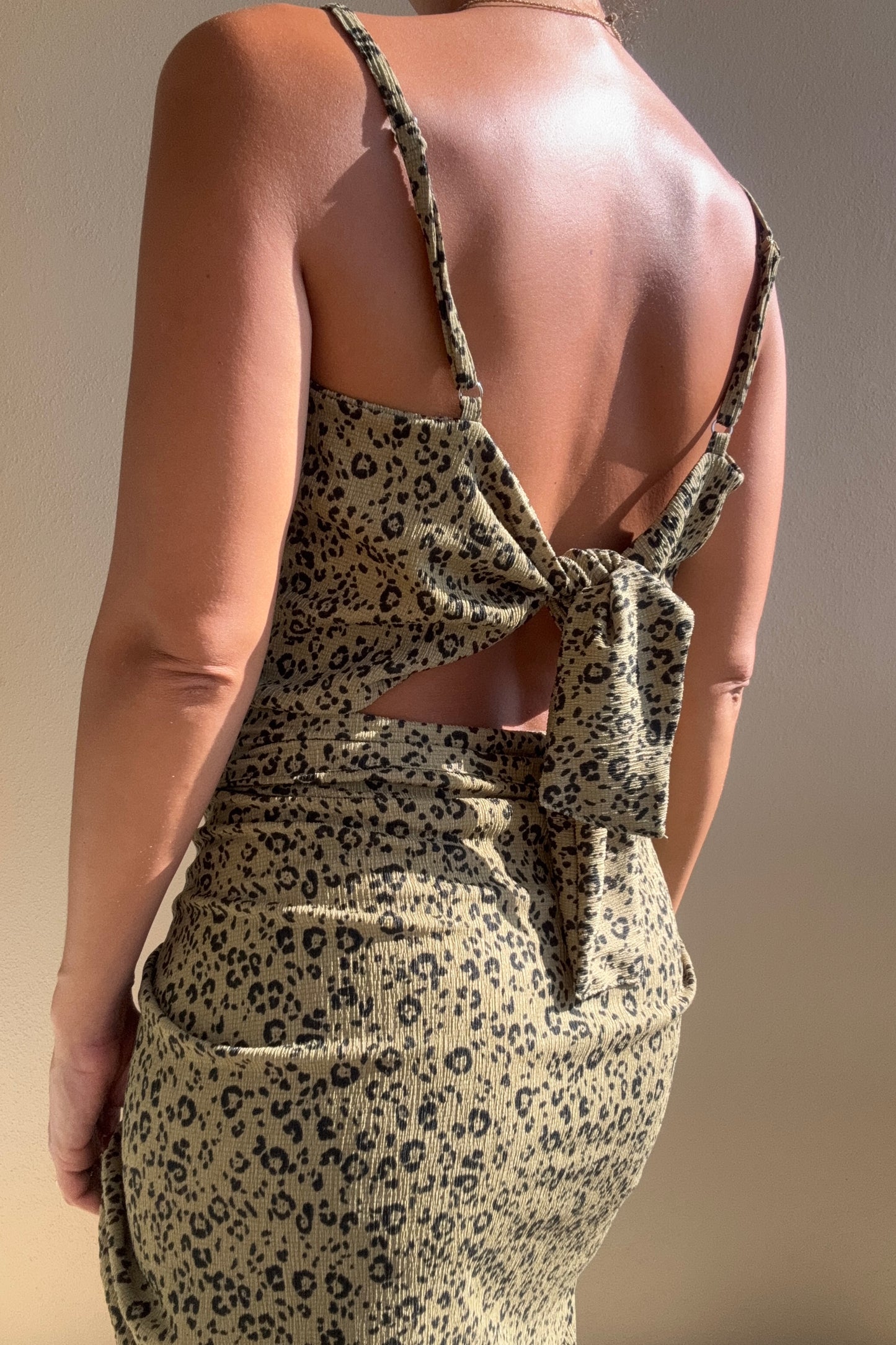 Top Denis Cheetah